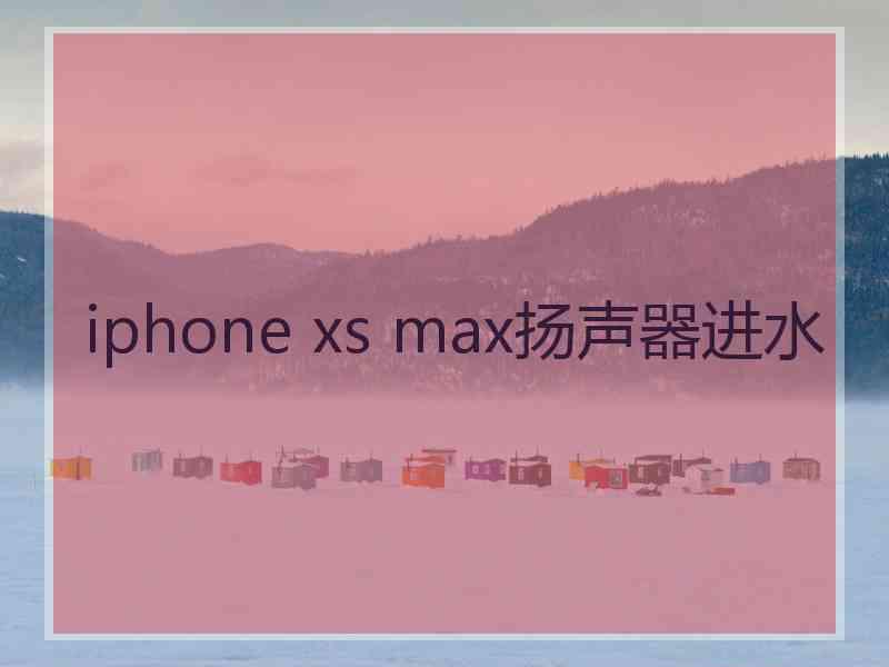 iphone xs max扬声器进水