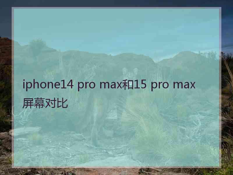 iphone14 pro max和15 pro max屏幕对比