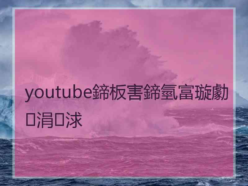 youtube鍗板害鍗氫富璇勮涓浗