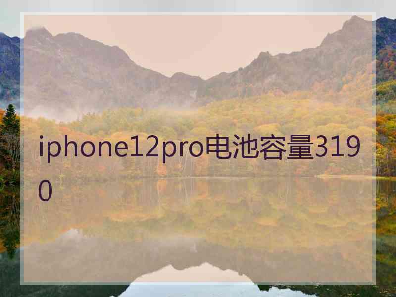 iphone12pro电池容量3190