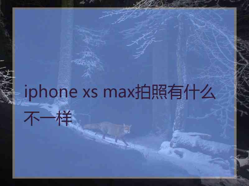 iphone xs max拍照有什么不一样