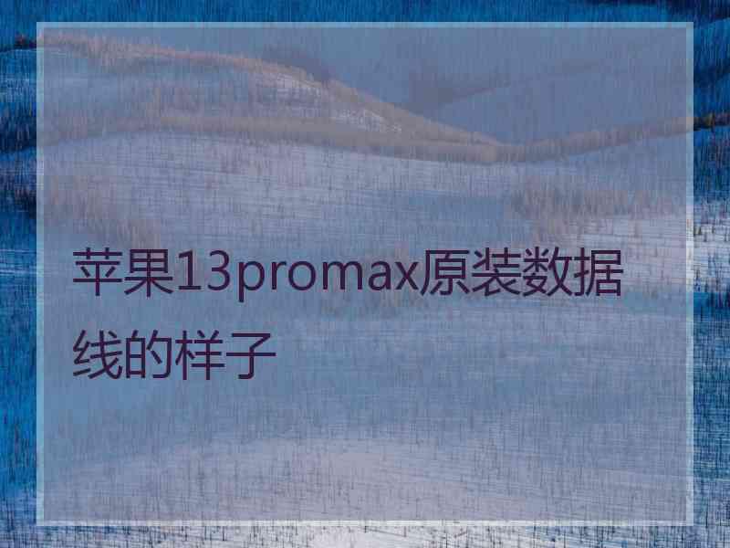 苹果13promax原装数据线的样子