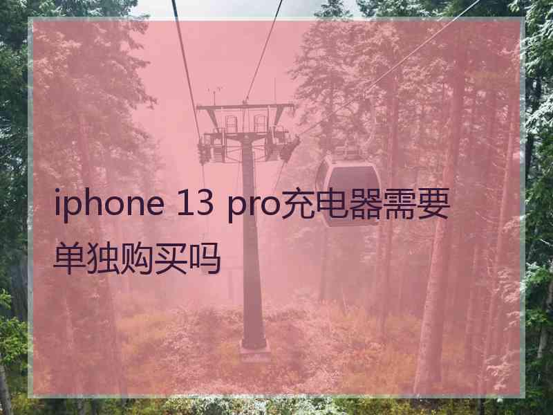 iphone 13 pro充电器需要单独购买吗