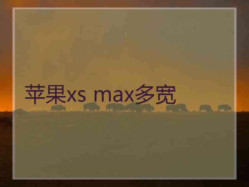 苹果xs max多宽