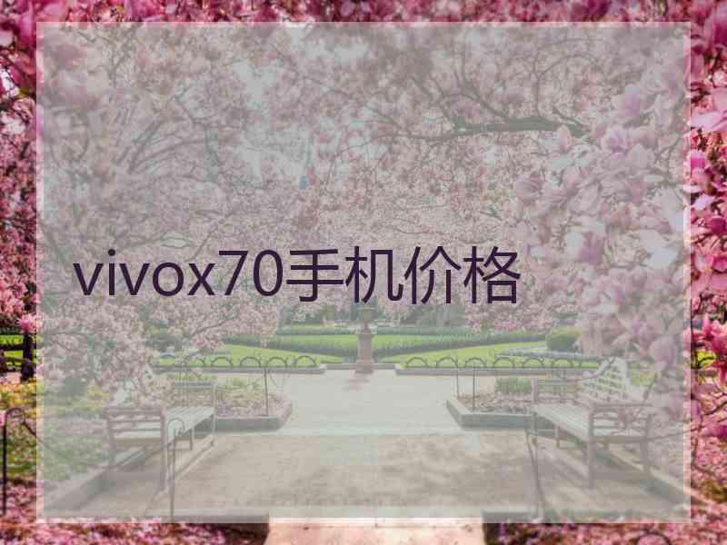 vivox70手机价格