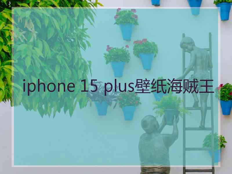 iphone 15 plus壁纸海贼王