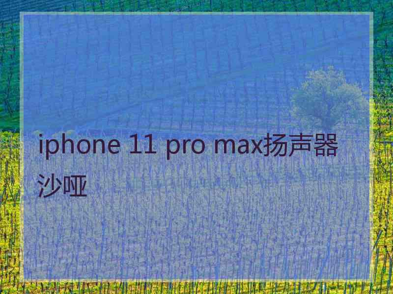 iphone 11 pro max扬声器沙哑