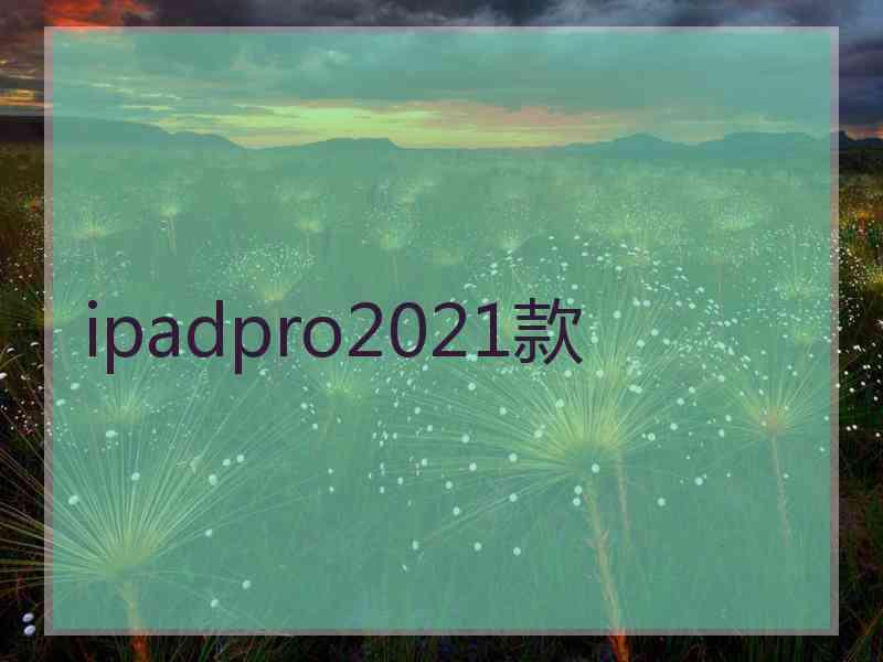 ipadpro2021款