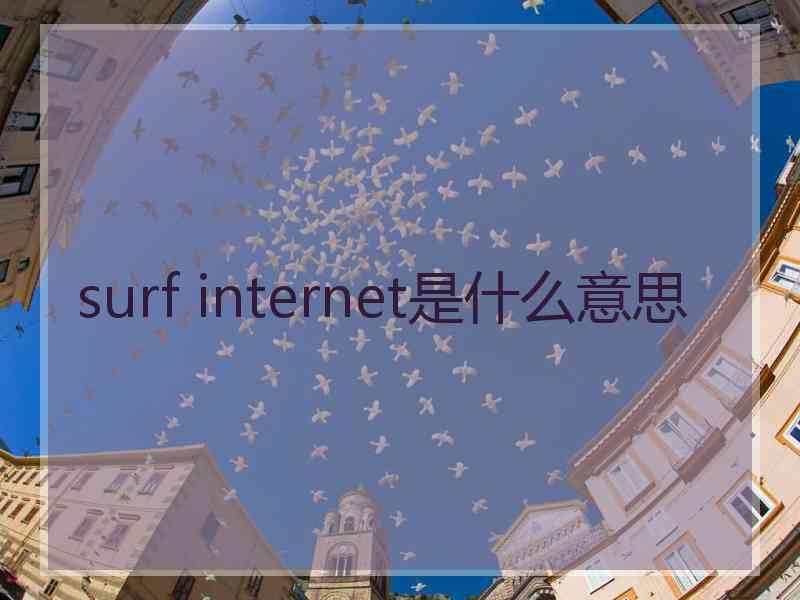 surf internet是什么意思