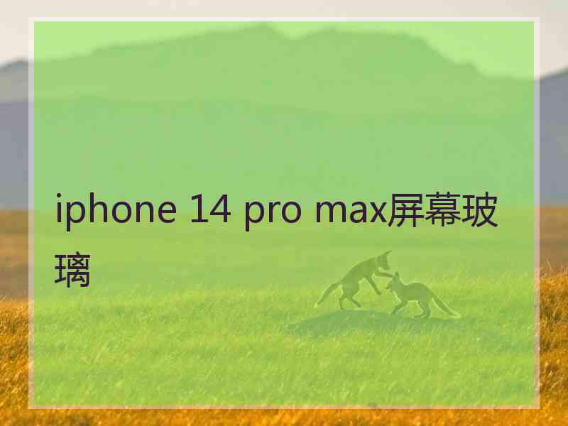 iphone 14 pro max屏幕玻璃