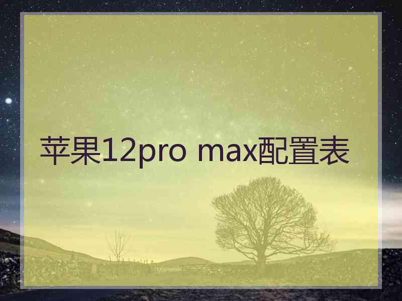 苹果12pro max配置表