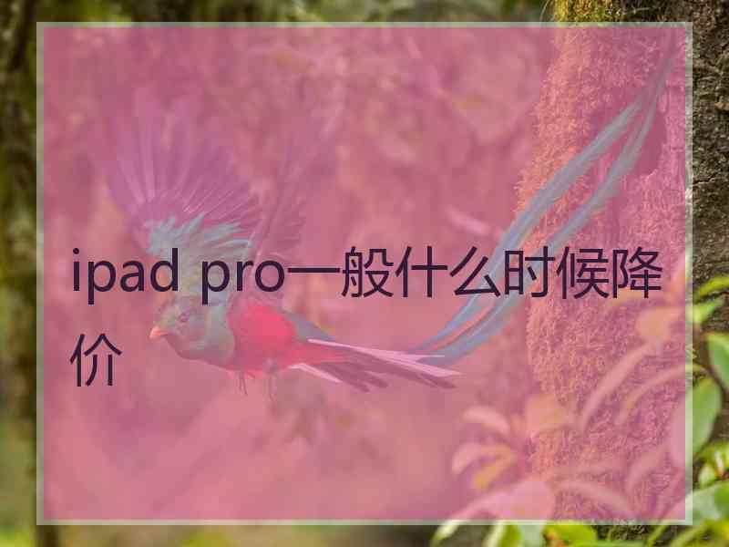 ipad pro一般什么时候降价