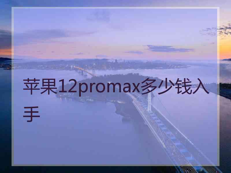 苹果12promax多少钱入手