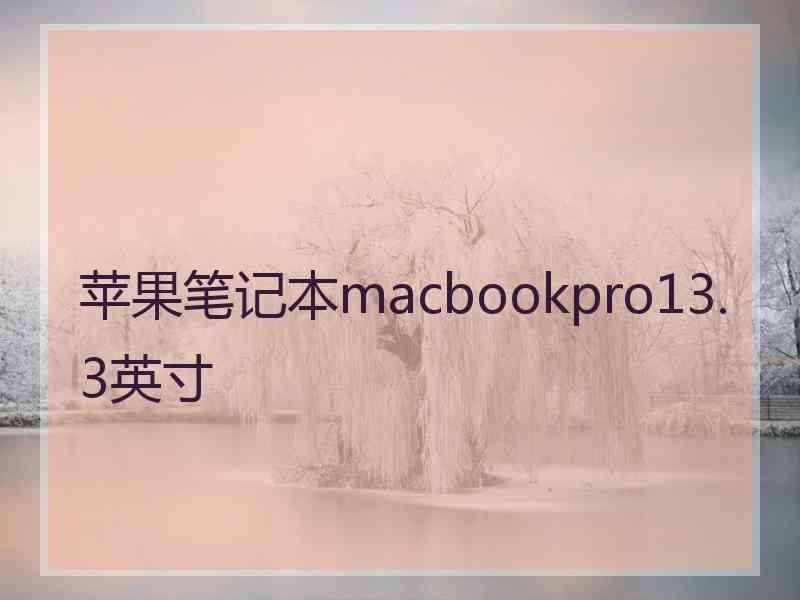 苹果笔记本macbookpro13.3英寸