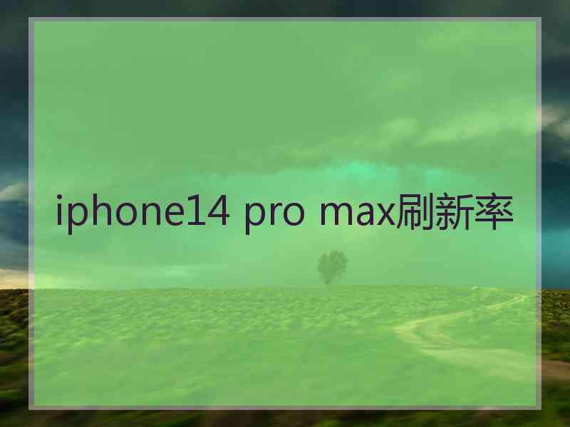 iphone14 pro max刷新率