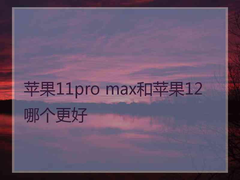 苹果11pro max和苹果12哪个更好