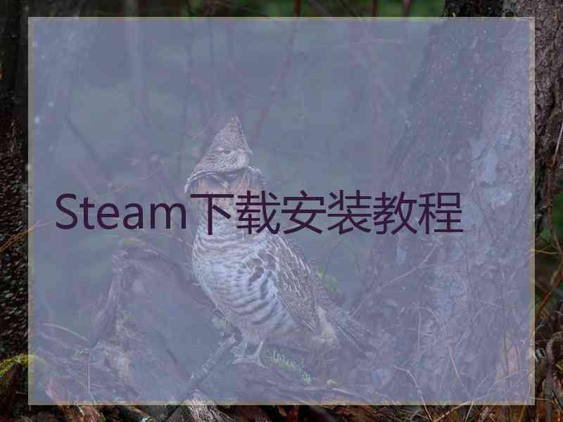 Steam下载安装教程