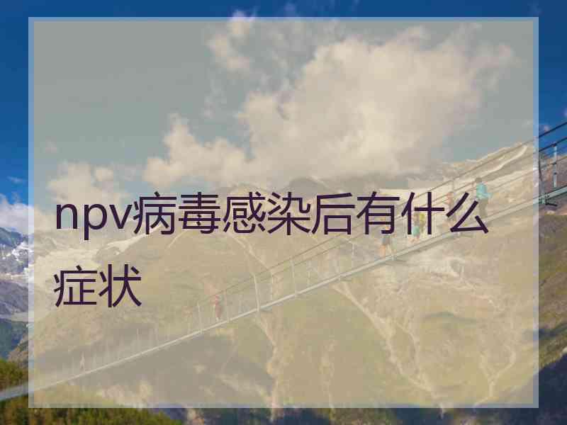 npv病毒感染后有什么症状