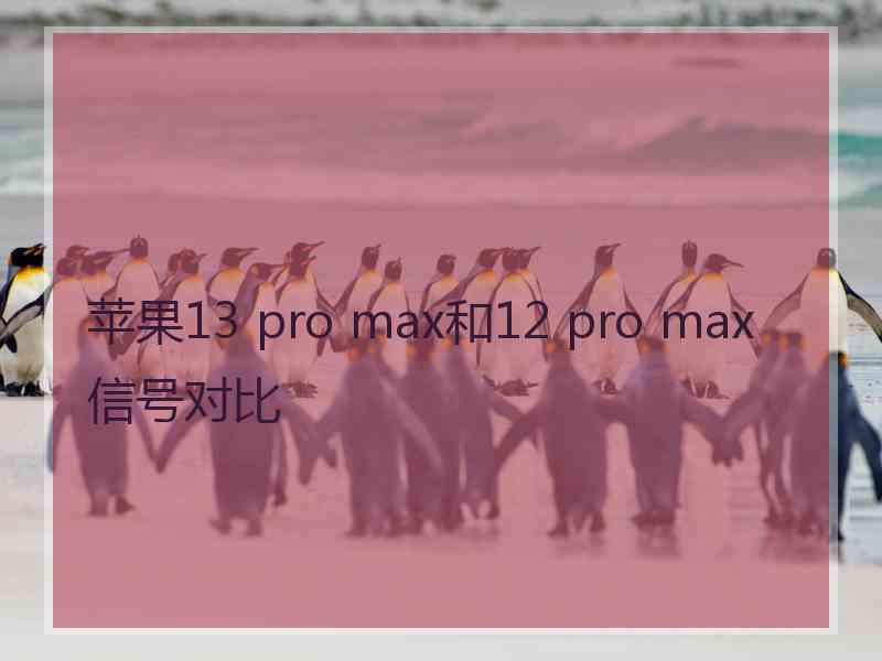 苹果13 pro max和12 pro max信号对比