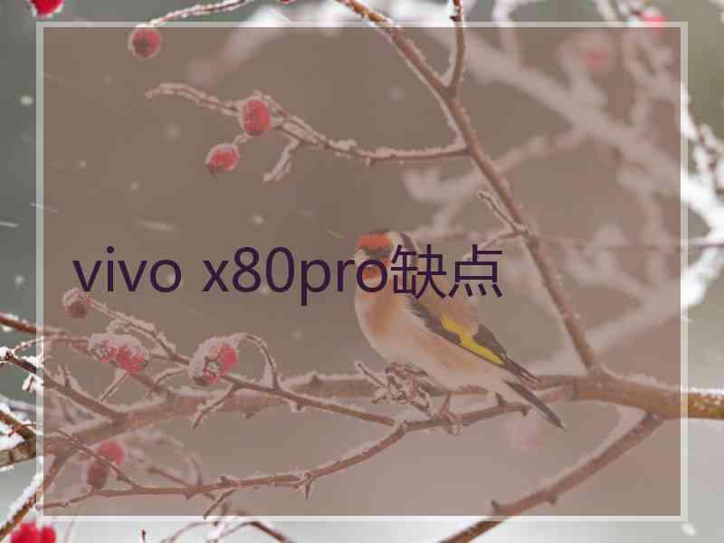 vivo x80pro缺点