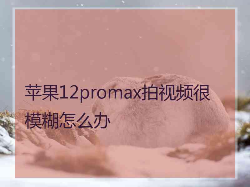 苹果12promax拍视频很模糊怎么办