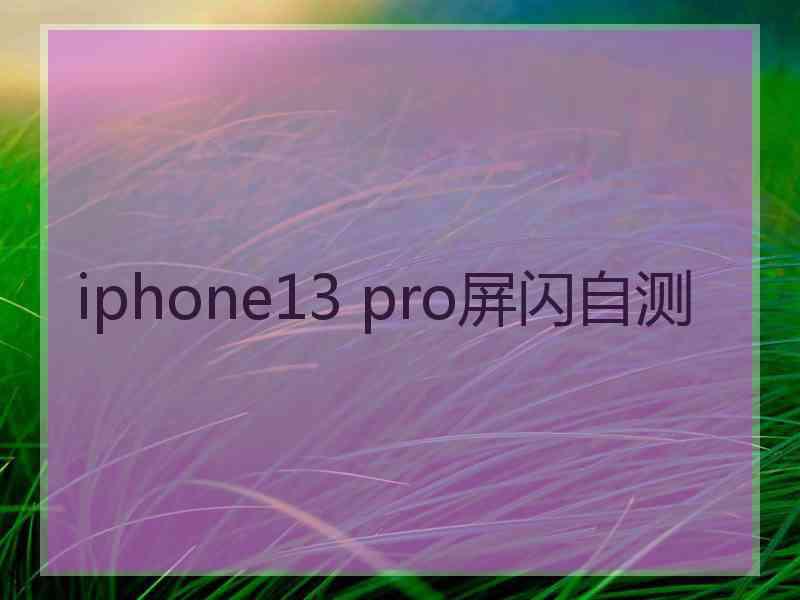 iphone13 pro屏闪自测