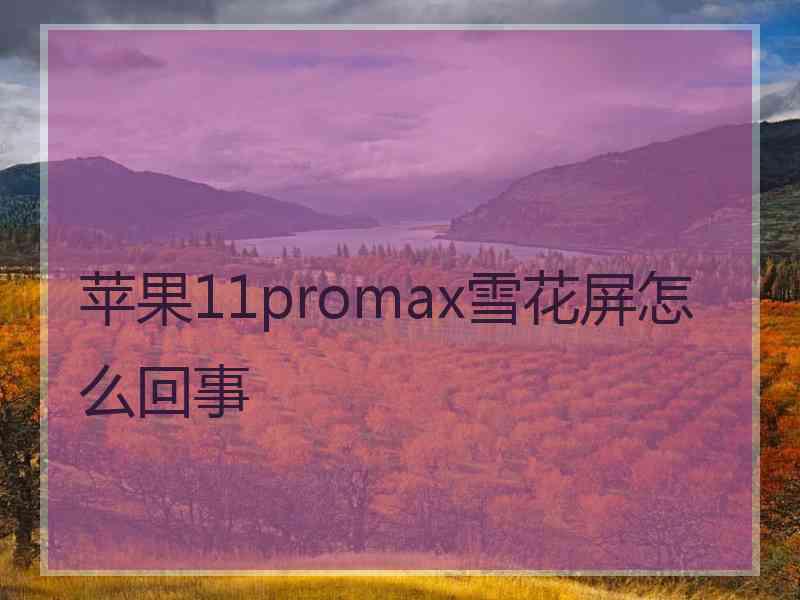 苹果11promax雪花屏怎么回事