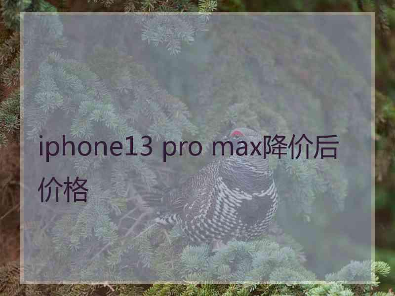 iphone13 pro max降价后价格