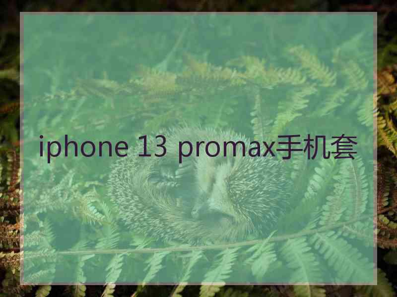 iphone 13 promax手机套