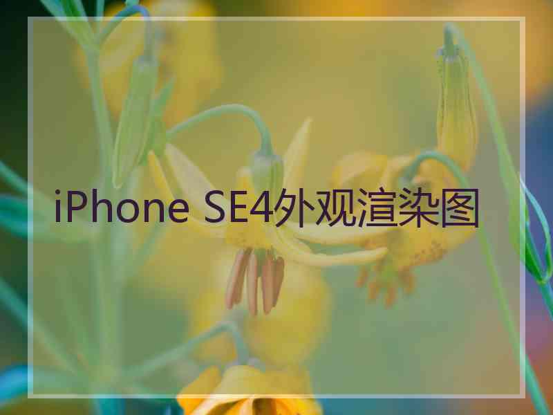 iPhone SE4外观渲染图