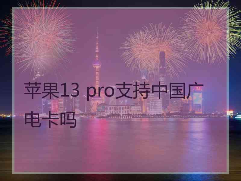 苹果13 pro支持中国广电卡吗