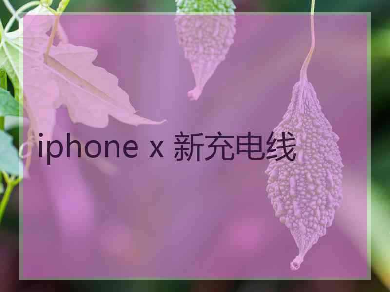 iphone x 新充电线