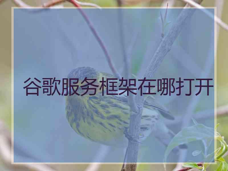 谷歌服务框架在哪打开