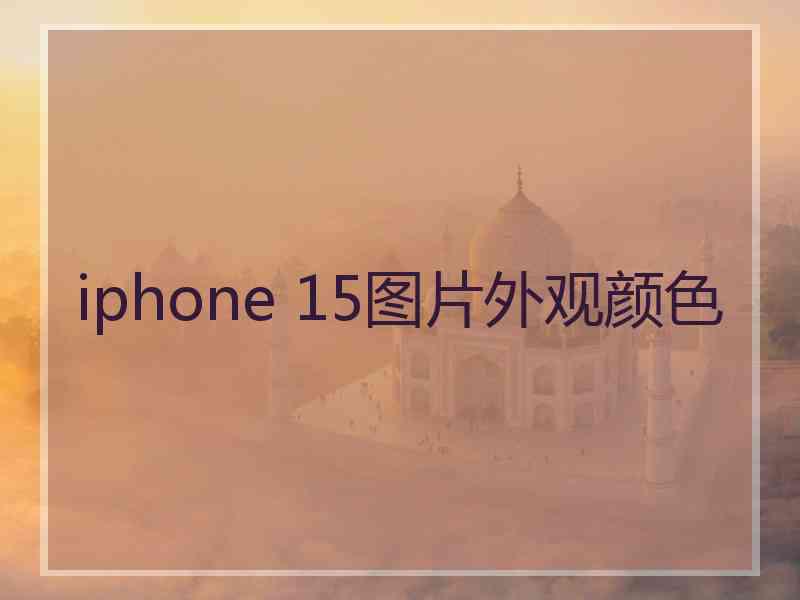 iphone 15图片外观颜色