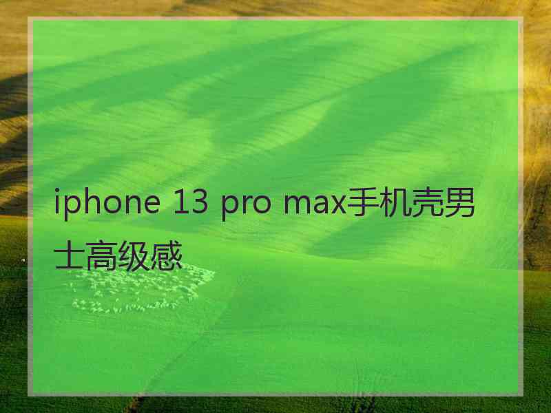 iphone 13 pro max手机壳男士高级感