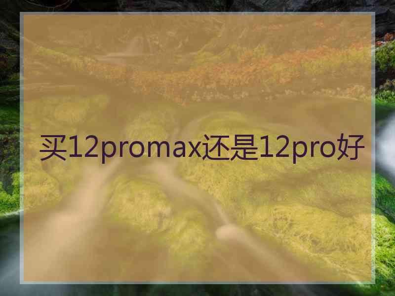 买12promax还是12pro好