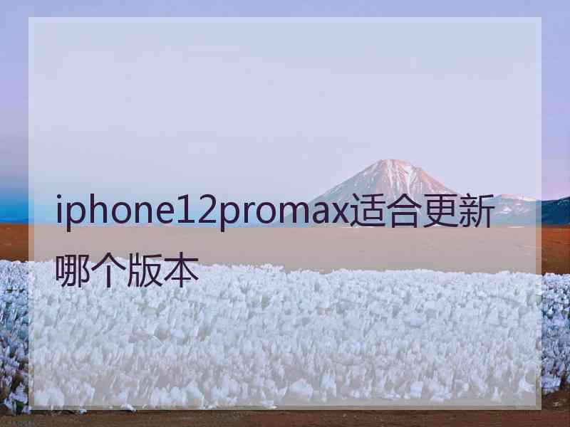 iphone12promax适合更新哪个版本