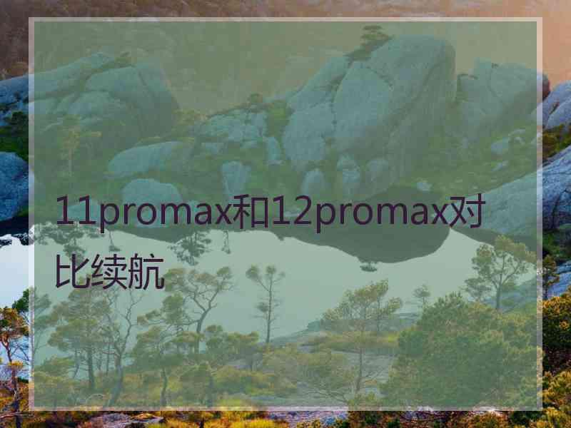 11promax和12promax对比续航