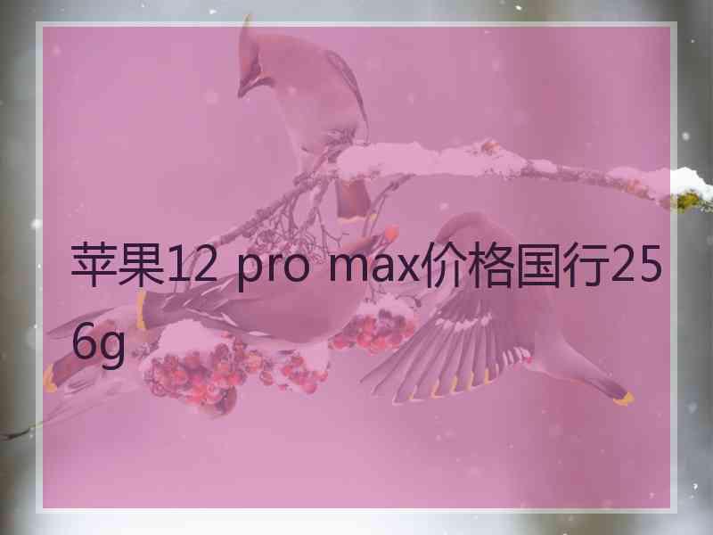 苹果12 pro max价格国行256g