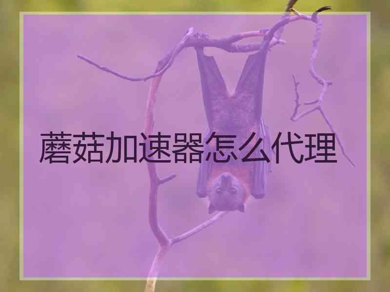 蘑菇加速器怎么代理