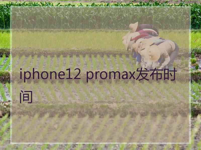 iphone12 promax发布时间