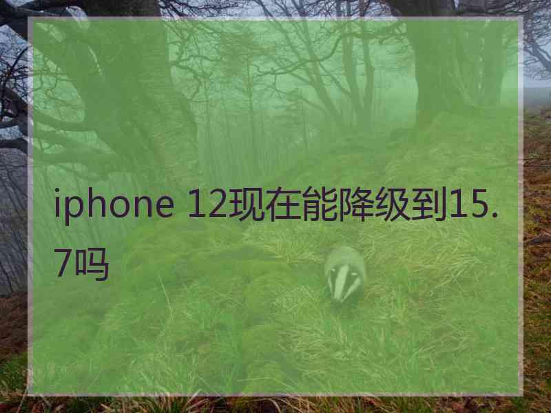 iphone 12现在能降级到15.7吗