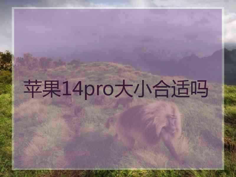 苹果14pro大小合适吗