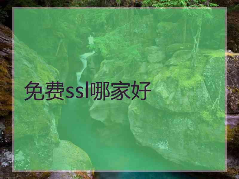 免费ssl哪家好