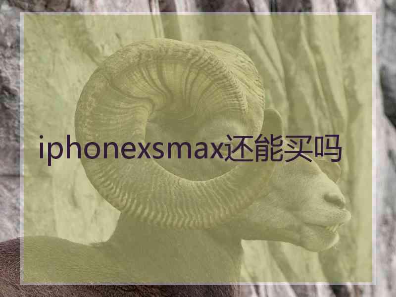 iphonexsmax还能买吗