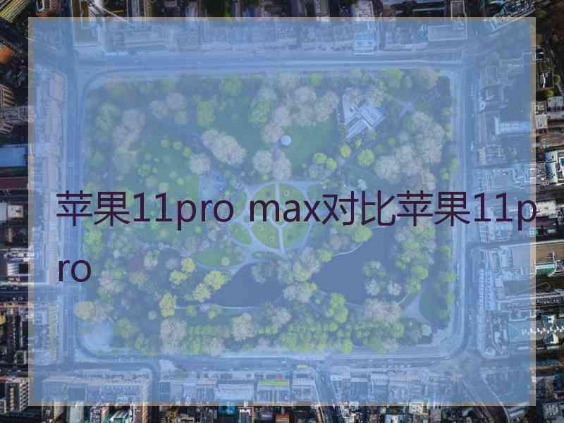 苹果11pro max对比苹果11pro