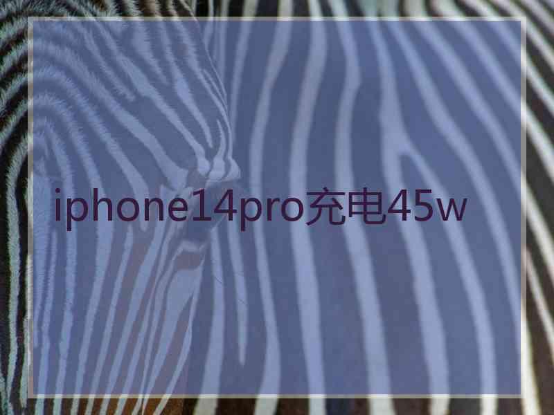 iphone14pro充电45w