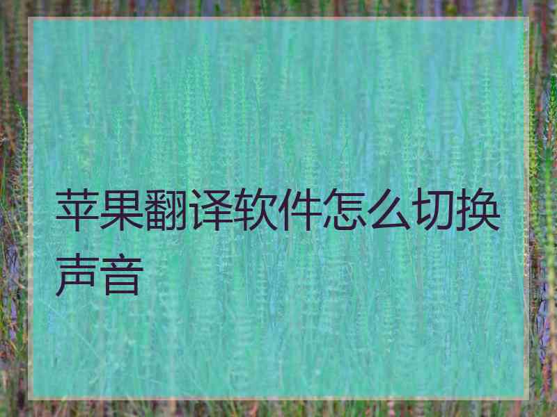 苹果翻译软件怎么切换声音