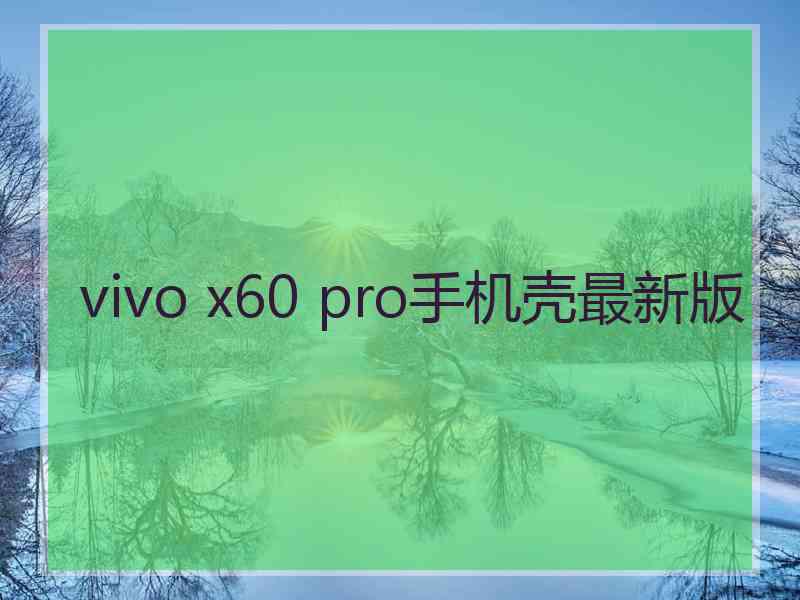 vivo x60 pro手机壳最新版