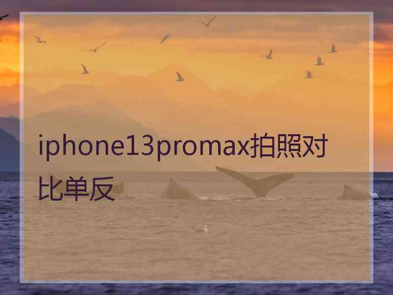 iphone13promax拍照对比单反